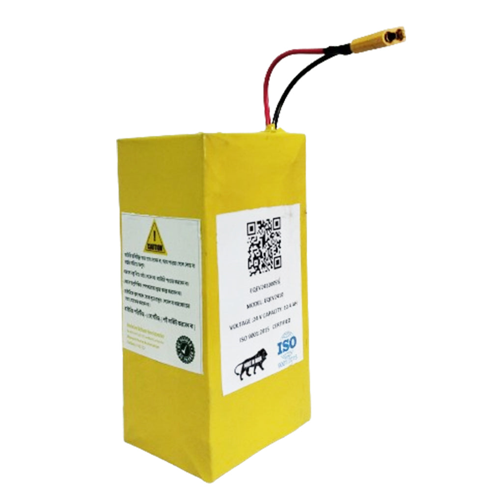 24volt Electric Cycle Lithium Ion Battery Pack, 25km+Mileage, BMS Warranty