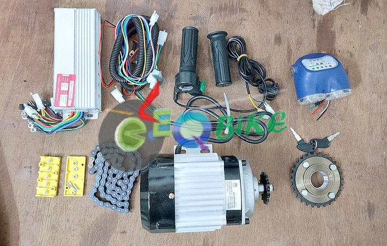 48v 750 watts Electric Bike Conversion, Rickshaw BLDC Gear Motor Full Electric Conversion Kit