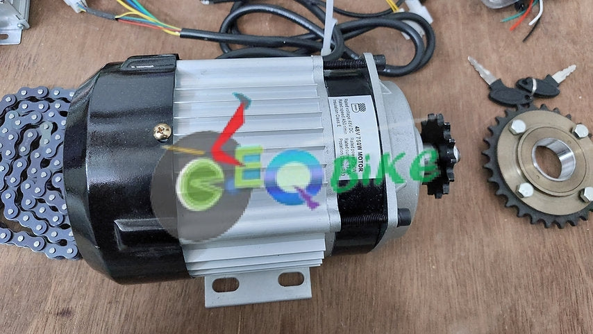 48v 750 watts Electric Bike Conversion, Rickshaw BLDC Gear Motor Full Electric Conversion Kit