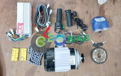 48v 750 watts EBike, Pedal Rickshaw BLDC Gear Motor Full Electric Conversion Kit