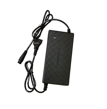 Lithium Fast Charger For electric Bicycle Lithium ion Battery and Lithium Phosphate