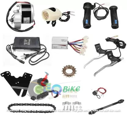 24v 250watts Electric Cycle DIY Gear Motor Conversion Full Kit With Lithium Battery cells