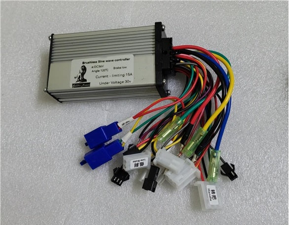 36V 350watts 3 Speed HUB Motor Electric Cycle Motor Copper Winding Electric Conversion Kit With Lithium Charger